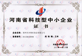 科技型企業(yè)證書 科技型企業(yè)證書